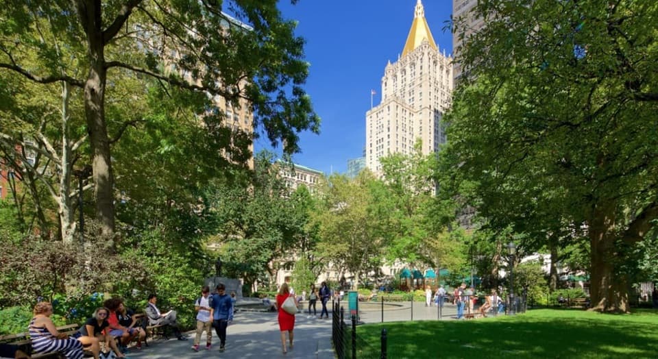 What to Do in NoMad NYC